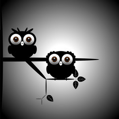 Cute owls couple on the tree