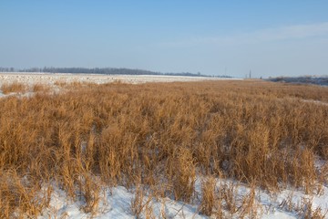 winter steppe