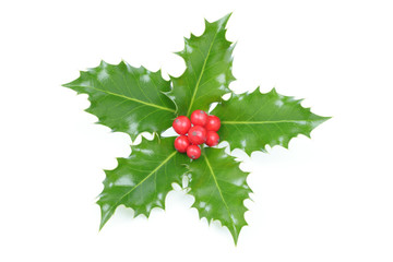Christmas Holly (Ilex) with red berries isolated on white