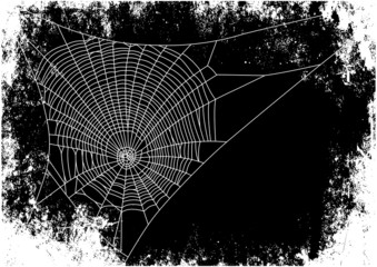 spiderweb background