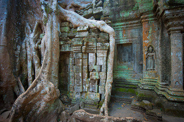 Ta Prohm Temple, Angkor, Cambodia