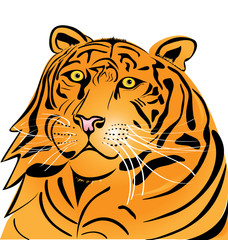 Tiger head logo vector