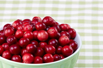 Bowl of cranberries