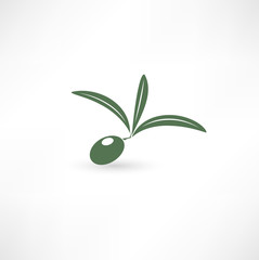 Olive icon