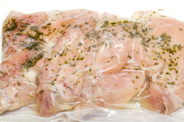 Trotter