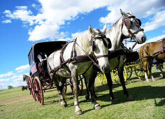 Carroza antigua