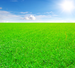 Obraz na płótnie Canvas Field of grass and blue sky