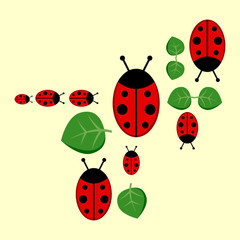 Background with ladybirds