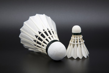 Badminton Shuttlecocks - 45767438