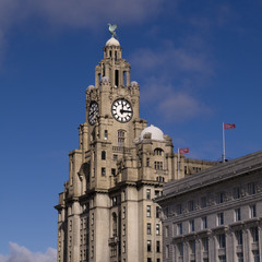 Fototapeta na wymiar Budynki na doku w Liverpoolu Anglii