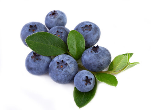 fresh blueberry with leaves isolated on white background.