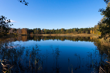 Blue fall pond with yellow leafs on trees