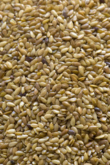 linseed