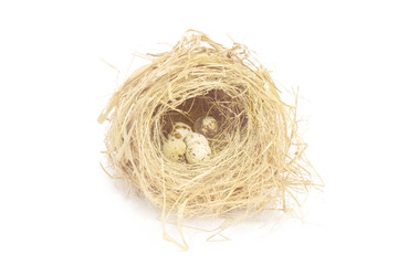 Obraz premium Bird nest on white background
