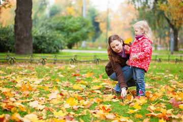 Fototapeta premium Mother and her little daughter gathering yellow maple leaves in