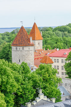 Gothic tower in Tallinn, Estonia