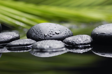 Leaves of palm with zen pebbles –still life