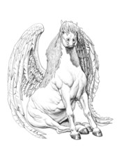 Pencil drawing of Pegasus