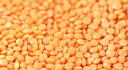 Lentil with selective focus over white background