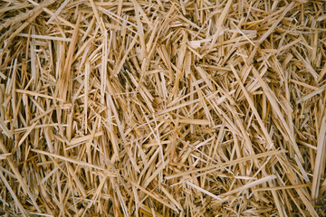 Hay background