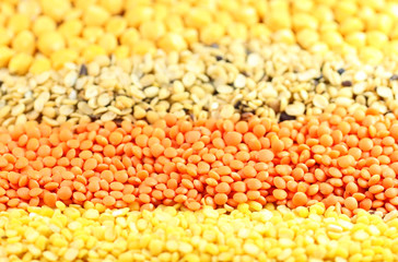 Four types of pulses with selective focus