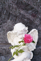 Friedhof, Allerheiligen, Allerseelen, Engel am Grab mit Rose, Textraum, Copyspace, Hochformat