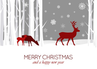 Winternacht im Wald © A. Dudy