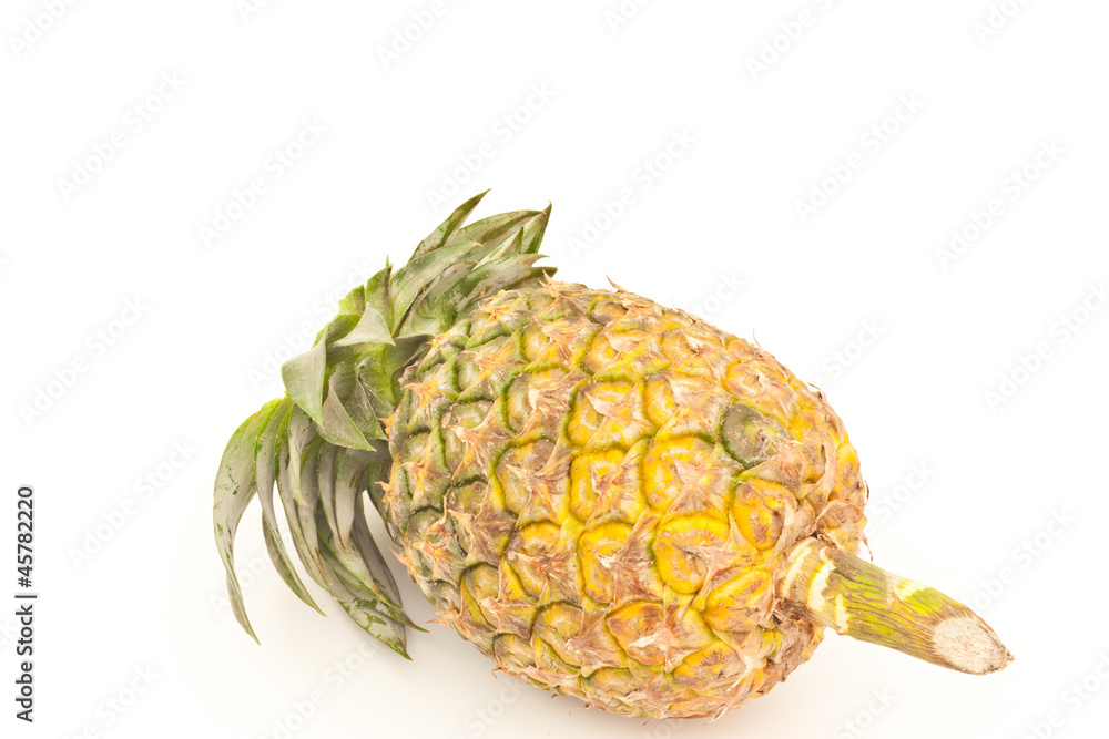 Wall mural Pineapple