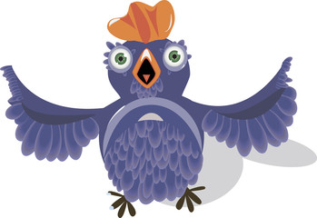 silly bird with round eyes