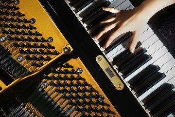 Naklejka premium Piano music pianist hands playing