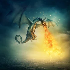 Washable wall murals Dragons Dragon