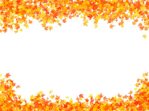 Autumn colour background