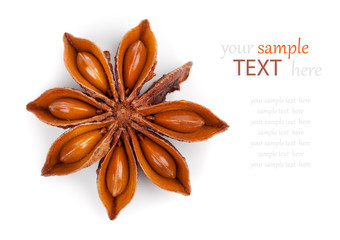 Whole Star Anise isolated on white background, with copy space
