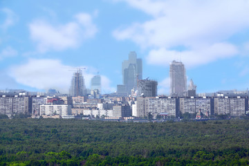 Fototapeta premium Big city near wood