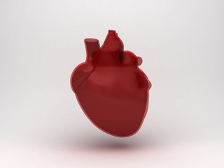Anatomia cuore ventricolo