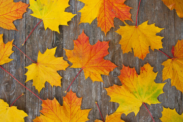 Herbstlaub