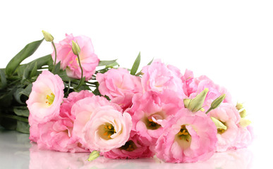 bouquet of eustoma flowers, isolated on white