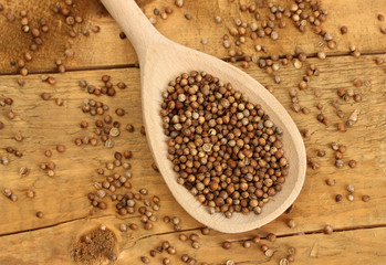 Heap coriander seeds in wooden spoon