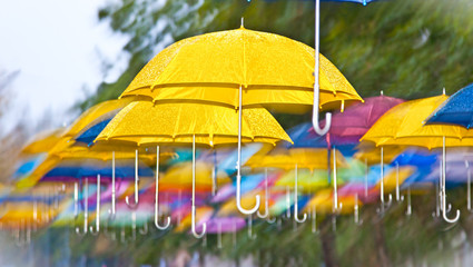 The many multicoloured umbrellas