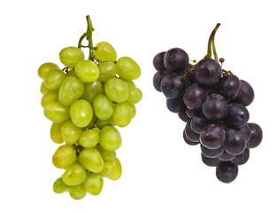 bunch of grapes isolated