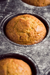 Pumpkin muffins in baking pan