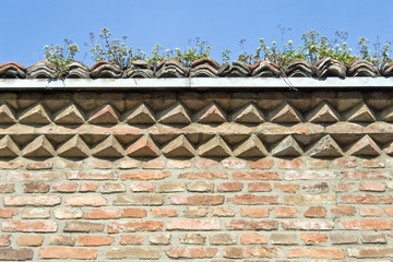 Old brick wall with wild plant over blue sky