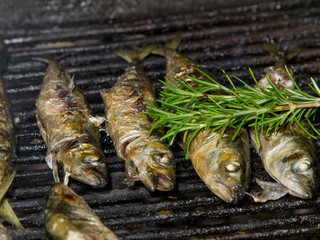 grilled fish