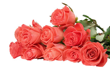 Fototapeta premium roses on the table