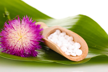 Fototapeta na wymiar homeopatyczne tabletki i kwiat na zielonym liściem na białym