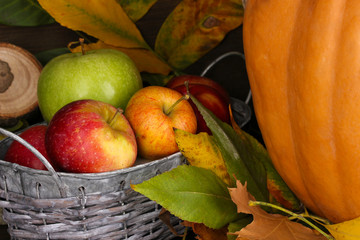 Excellent autumn still life with pumpkin