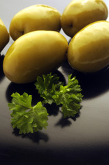 オリーブ  올리브  alyvmedis  аліўкавы زیتون  זית