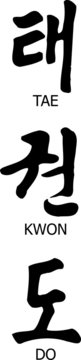 TaeKwonDo-ModernCalligraphy6-Vert-English Subtitles-BEMAOrange