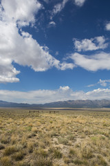 Fototapeta na wymiar Ladscape on the Nevada highway 50