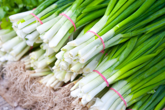 Bunches of green onions on display at a farmers' market